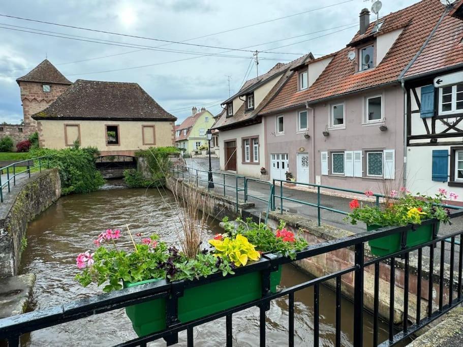 Au Bord De L'Eau Βίλα Wissembourg Εξωτερικό φωτογραφία